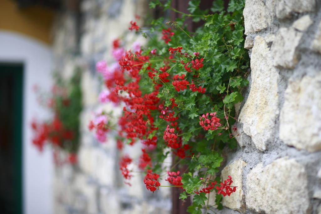 Guesthouse Villa Zelenjak Ventek Kumrovec Exteriér fotografie